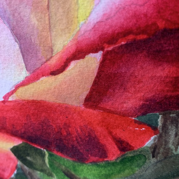 Stunning 17” x 14 1/2” signed original ROSE water color framed artwork - Picture 9 of 14